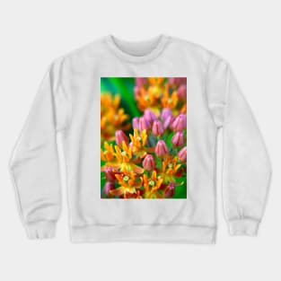 Beautiful Butterfly Flower Crewneck Sweatshirt